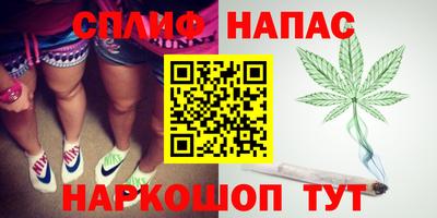 гидропоника Можайск