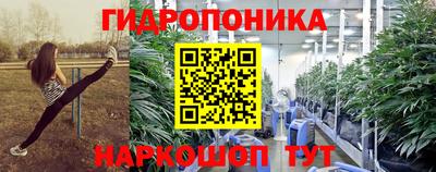 кокс Моздок