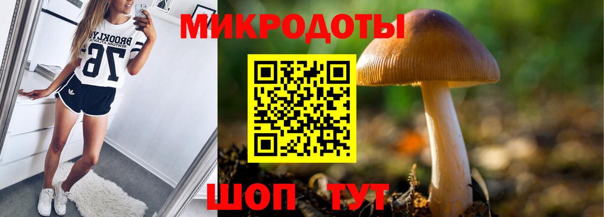 Галлюциногенные грибы Psilocybine cubensis  Вход с VPN  Шали  Псилоцибиновые грибы ЛСД 